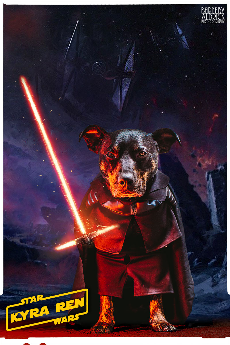 star wars dog