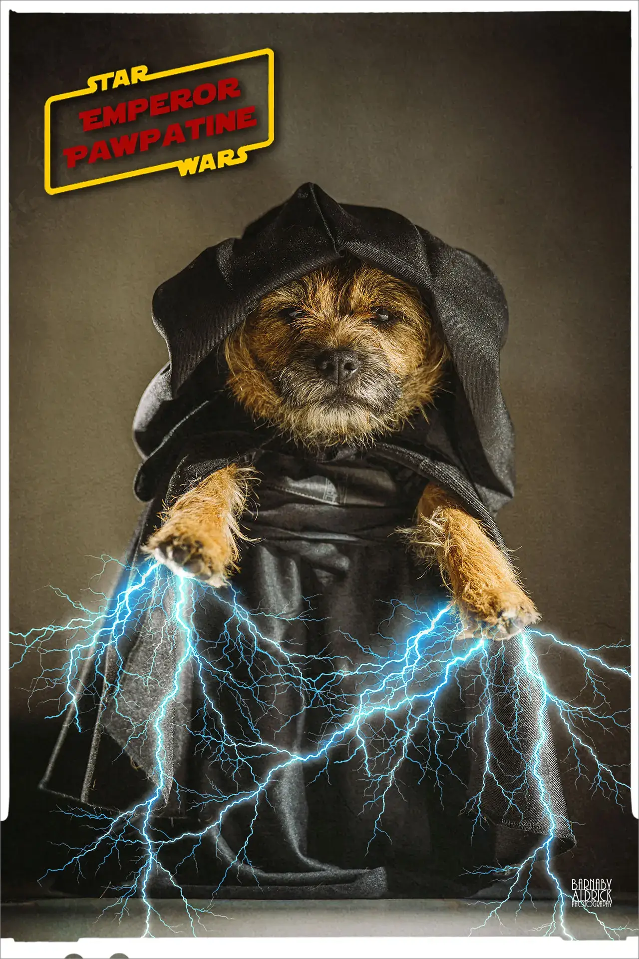 Home made Star wars pet Emperor Palpatine costume, DIY star wars pet costumes, Star Wars fancy dress dog, Emperor Palpatine dog fancy dress