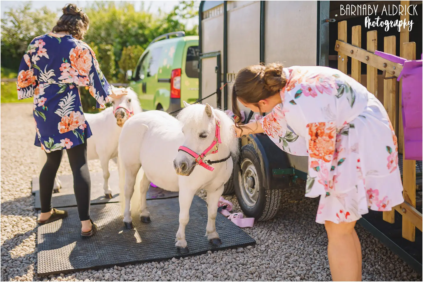 Ponies at weddings in Yorkshire