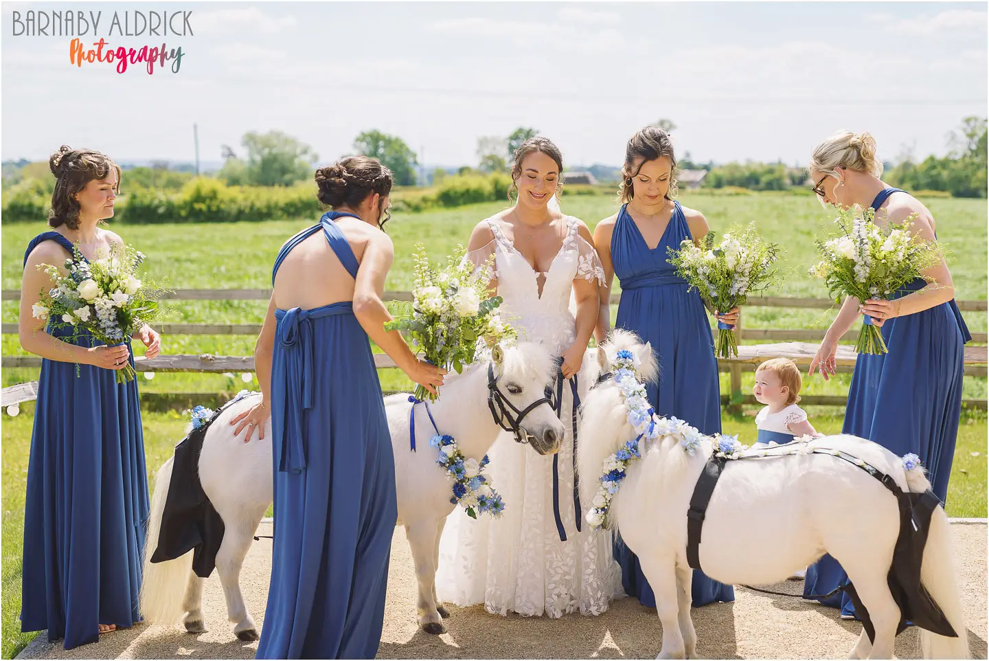 Ponies at Weddings in Yorkshire, Horses at Weddings in Yorkshire