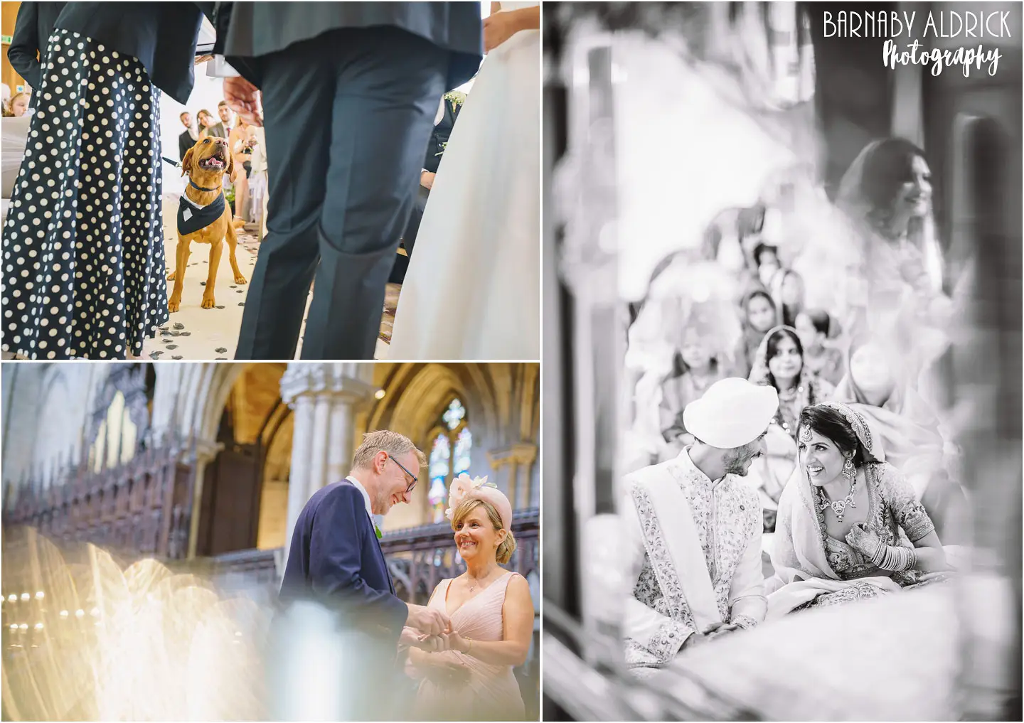 Dogs at Weddings in Yorkshire, Indian Wedding Gurdwara ceremony, Ripon Cathedral Wedding photography