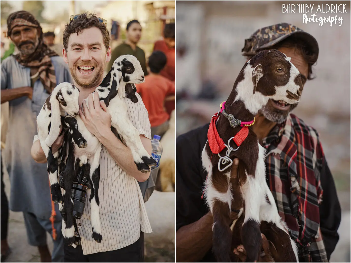 Decisive moment amusing photo of a Goat and human combined, Travel Photographer Hamish Irvine