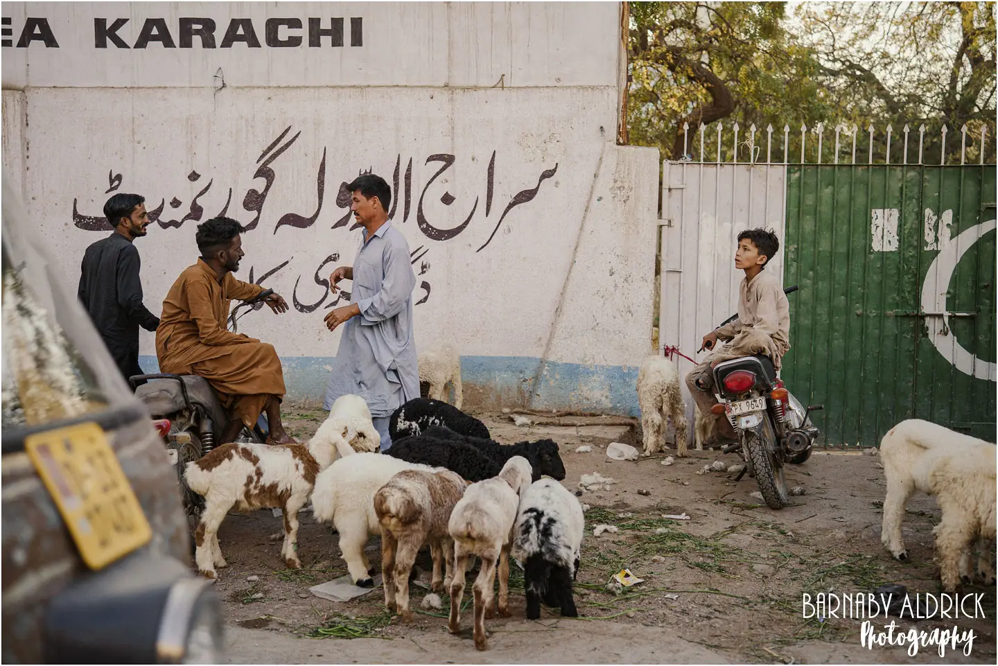Goats at Lalukhait Sunday market in Karachi Pakistan