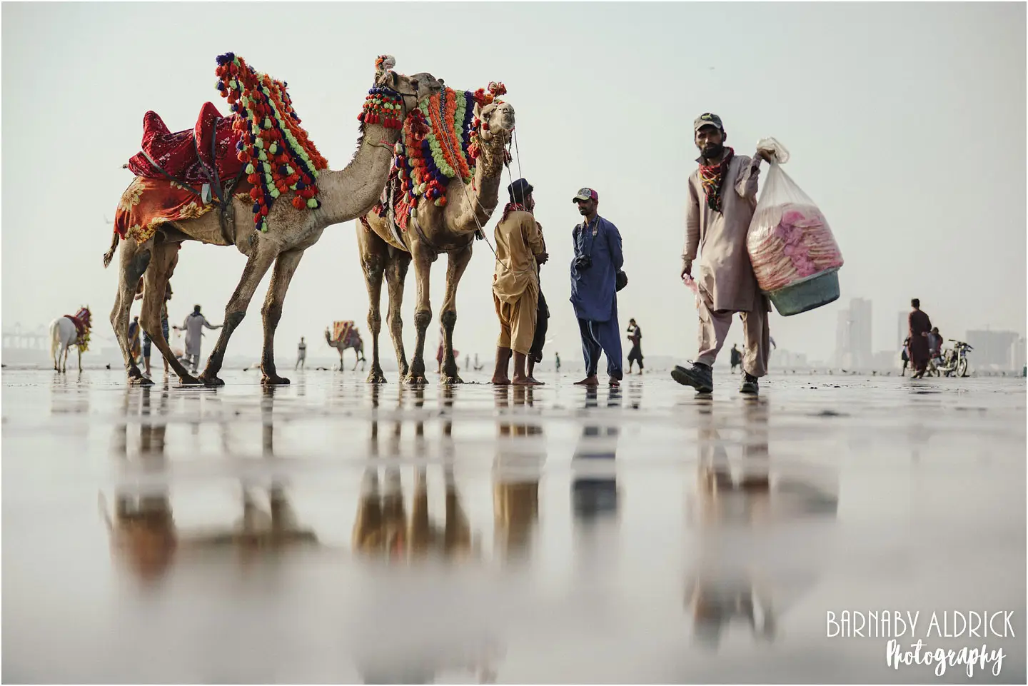Clifton Beach Karachi Pakistan Camels and bird feed sellers