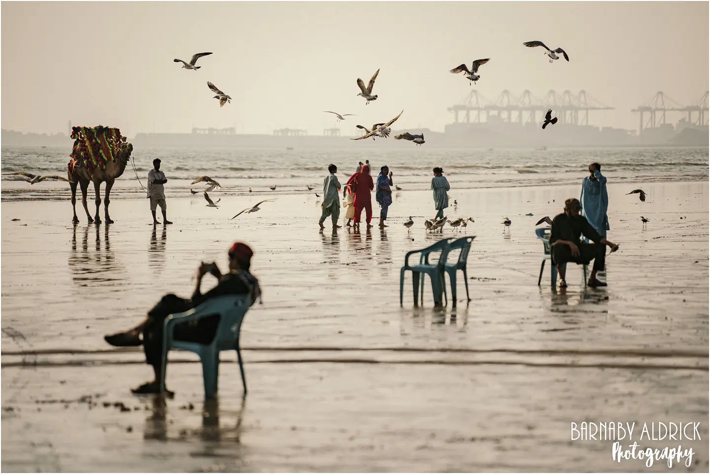 Public relaxing on Clifton Beach Karachi Pakistan Camel