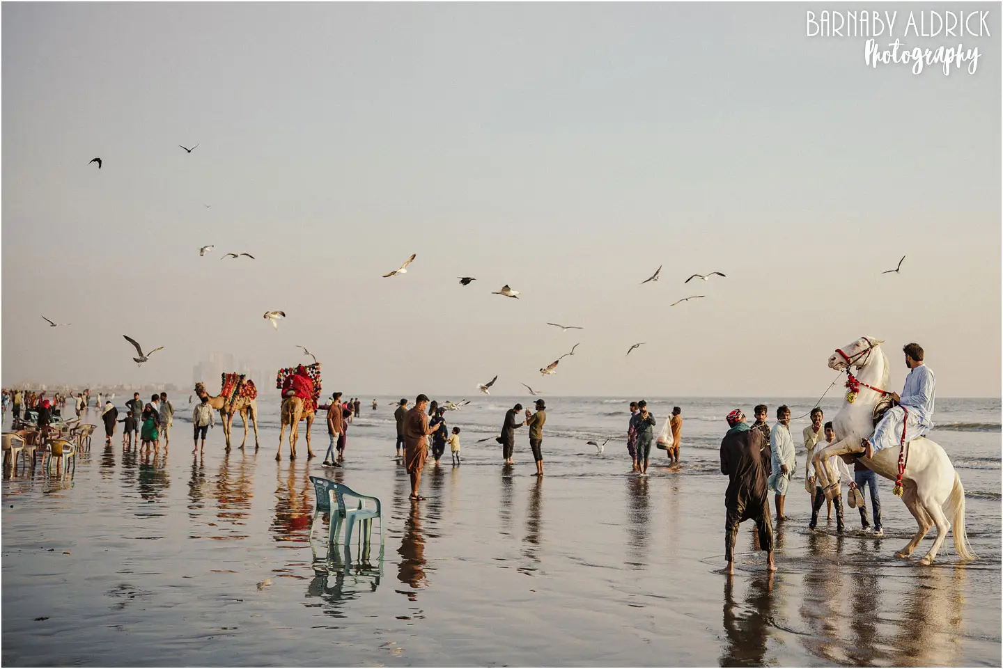 Busy late afternoon activity on Clifton Beach Karachi, evening busy scene horse camel rides on Clifton Beach in Karachi Pakistan